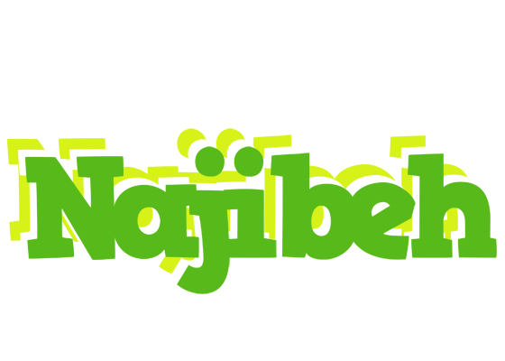 Najibeh picnic logo