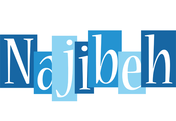 Najibeh winter logo