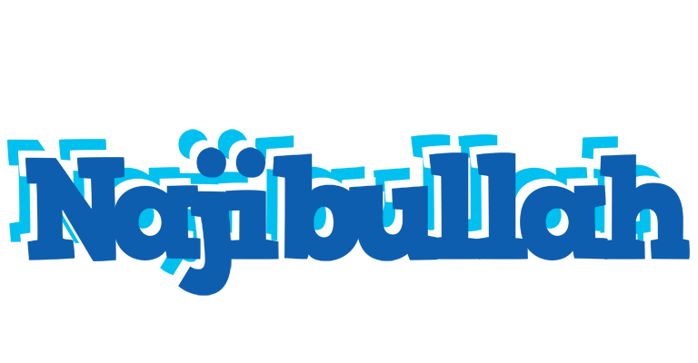 Najibullah business logo