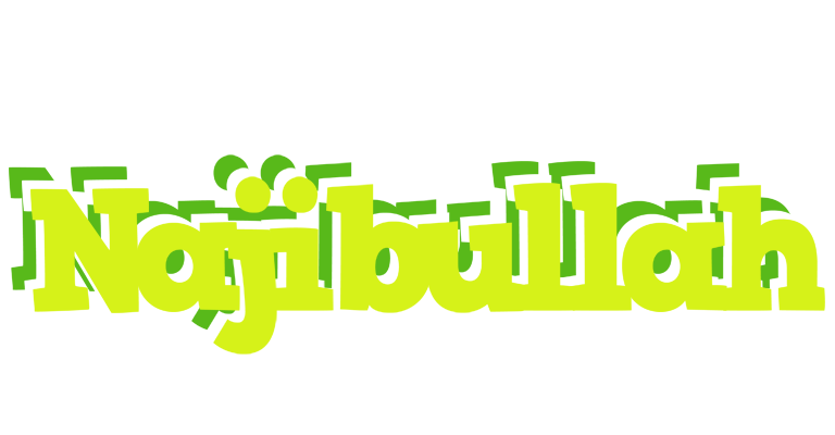 Najibullah citrus logo