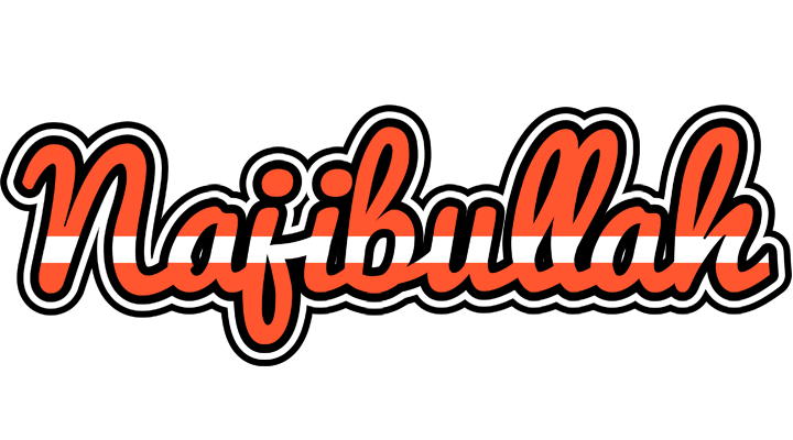 Najibullah denmark logo
