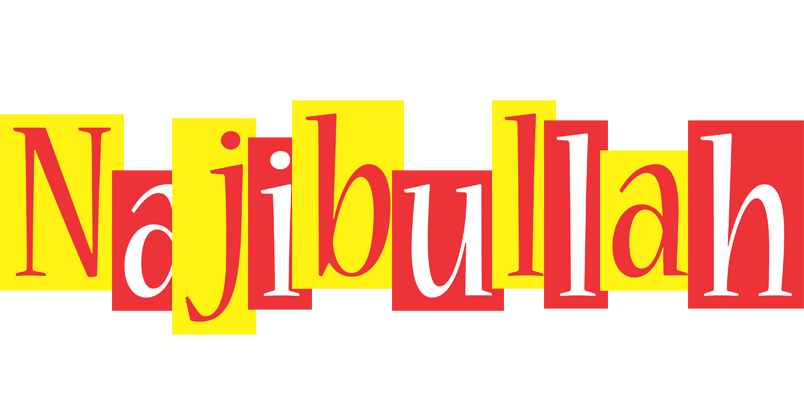 Najibullah errors logo