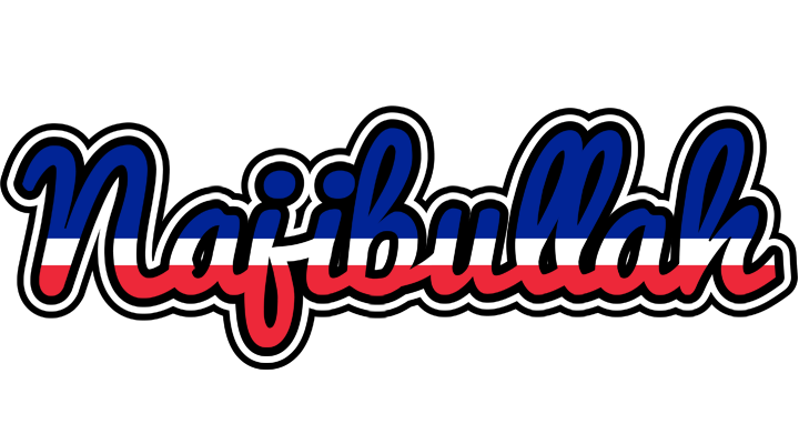 Najibullah france logo