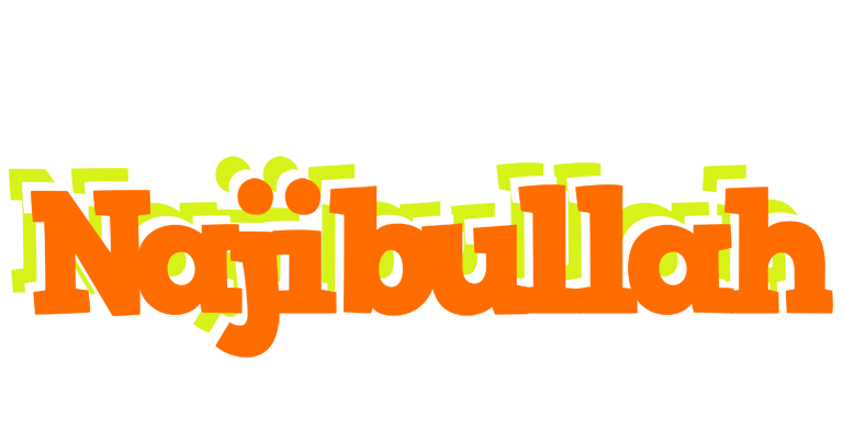 Najibullah healthy logo
