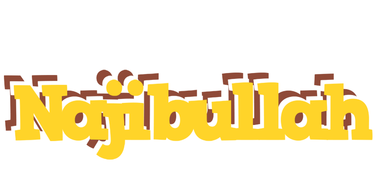 Najibullah hotcup logo