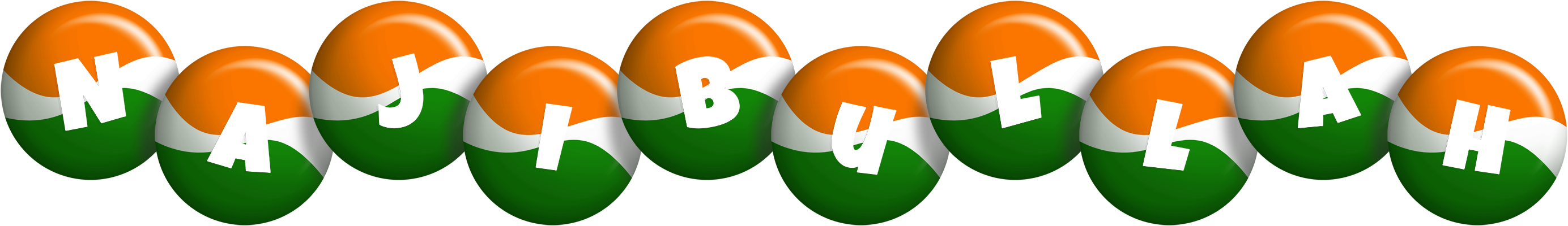 Najibullah india logo