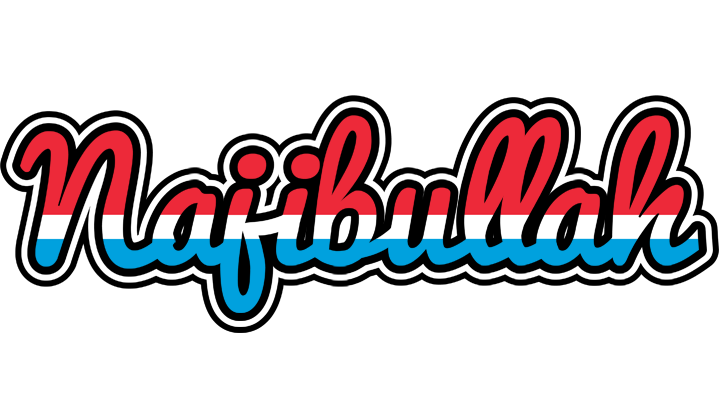 Najibullah norway logo