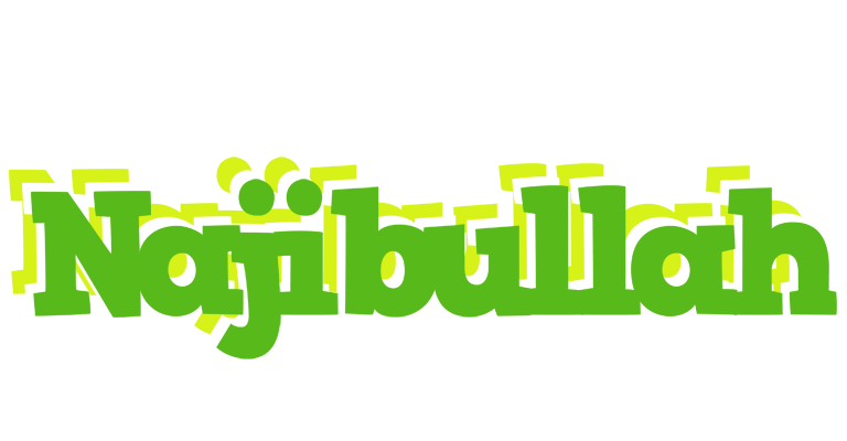 Najibullah picnic logo
