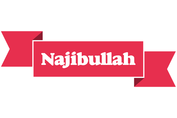 Najibullah sale logo