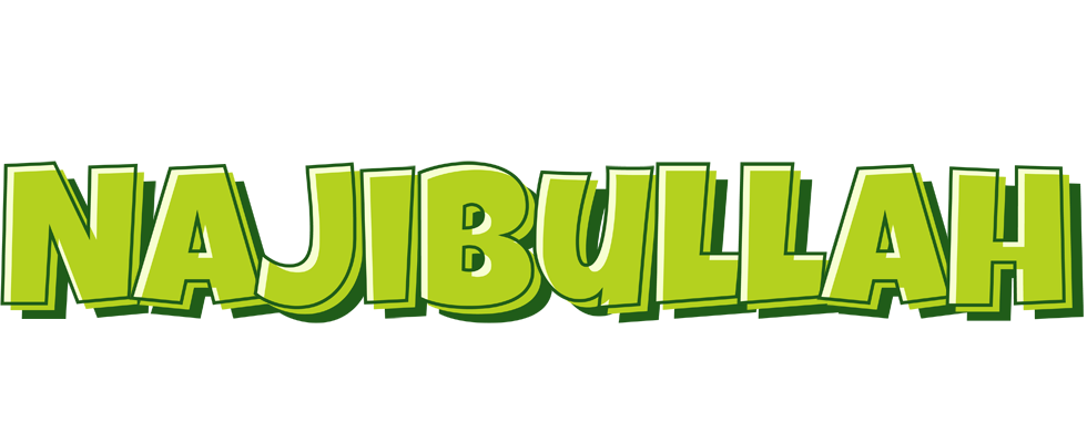 Najibullah summer logo