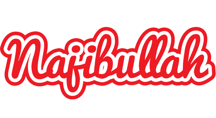 Najibullah sunshine logo