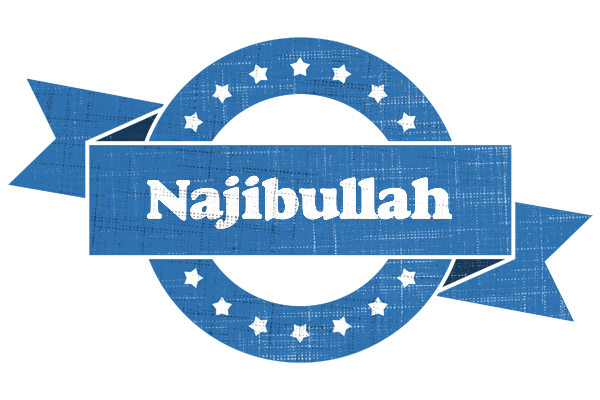 Najibullah trust logo