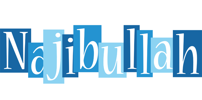 Najibullah winter logo