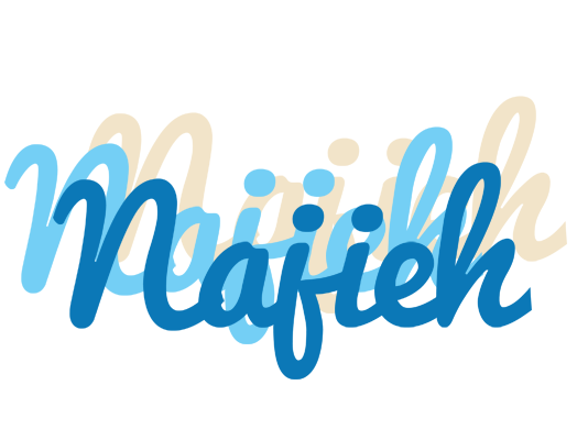 Najieh breeze logo