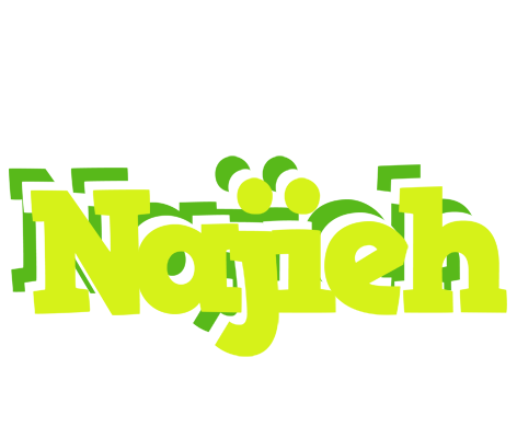 Najieh citrus logo