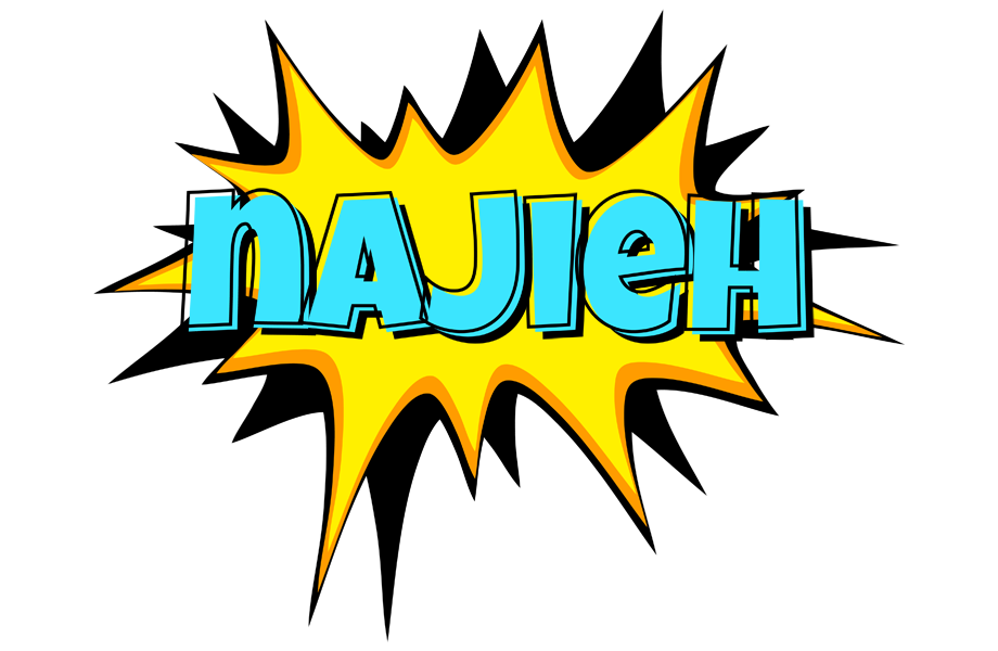 Najieh indycar logo