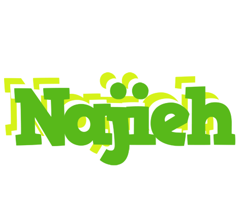 Najieh picnic logo