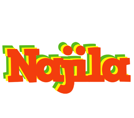 Najila bbq logo
