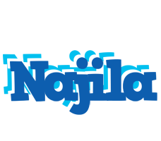 Najila business logo