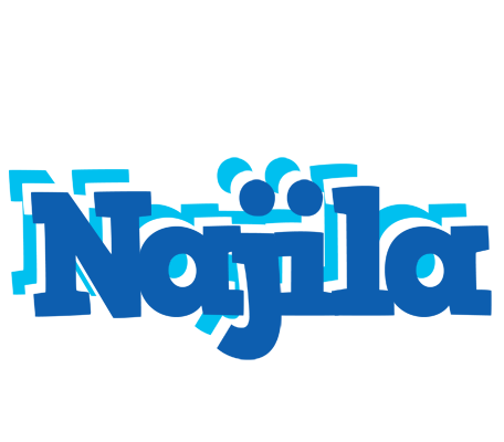 Najila business logo