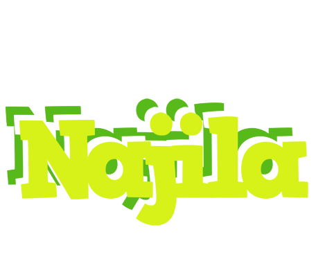 Najila citrus logo