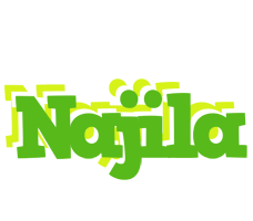 Najila picnic logo