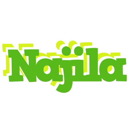 Najila picnic logo