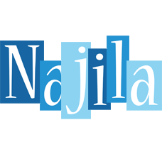 Najila winter logo