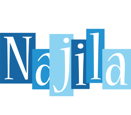 Najila winter logo