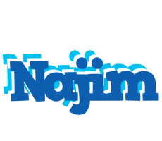 Najim business logo