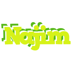 Najim citrus logo