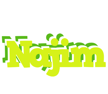 Najim citrus logo