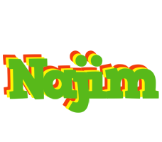 Najim crocodile logo