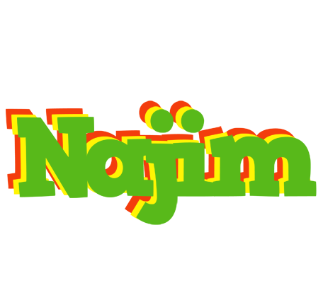 Najim crocodile logo
