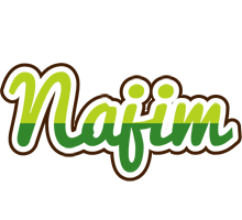 Najim golfing logo