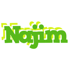 Najim picnic logo