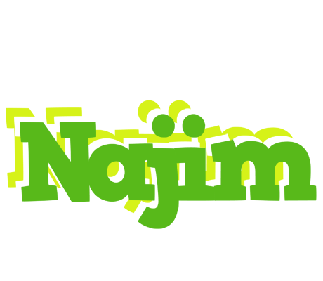 Najim picnic logo