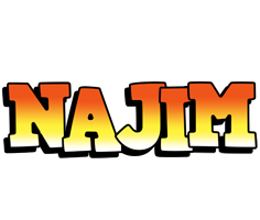 Najim sunset logo