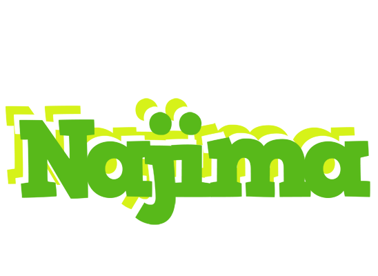 Najima picnic logo