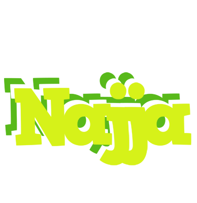 Najja citrus logo