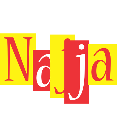 Najja errors logo