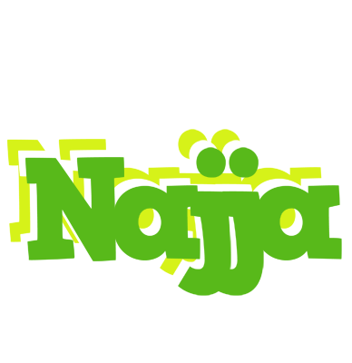 Najja picnic logo