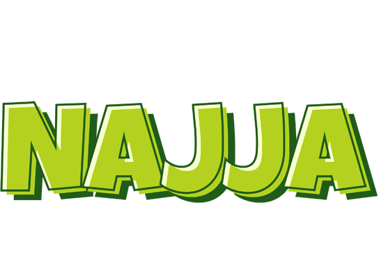 Najja summer logo