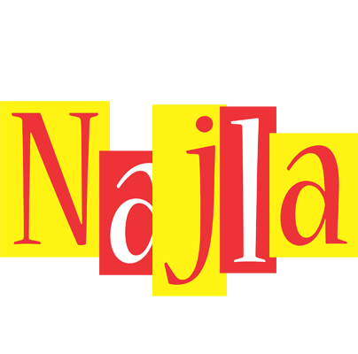Najla errors logo