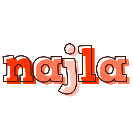 Najla paint logo