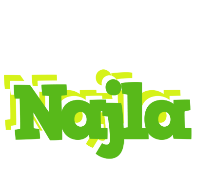 Najla picnic logo