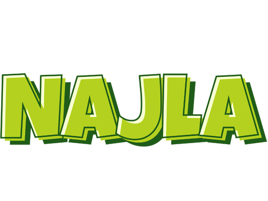 Najla summer logo