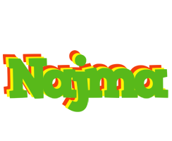 Najma crocodile logo