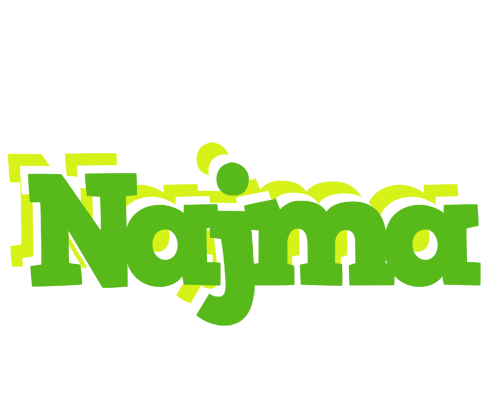 Najma picnic logo