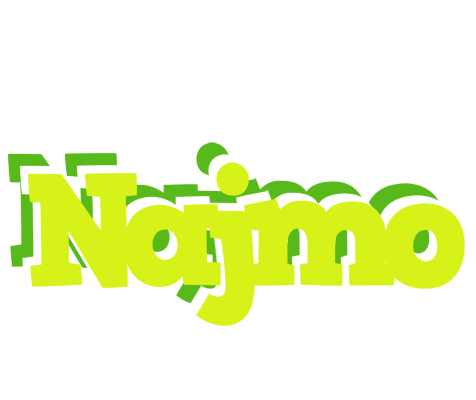 Najmo citrus logo